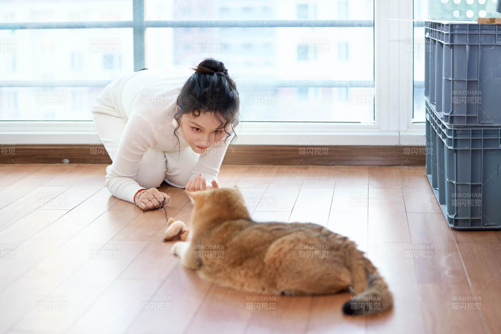 假日在家和貓咪嬉戲的亞洲美女