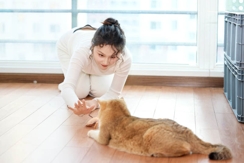 假日在家和猫咪嬉戏的亚洲美女