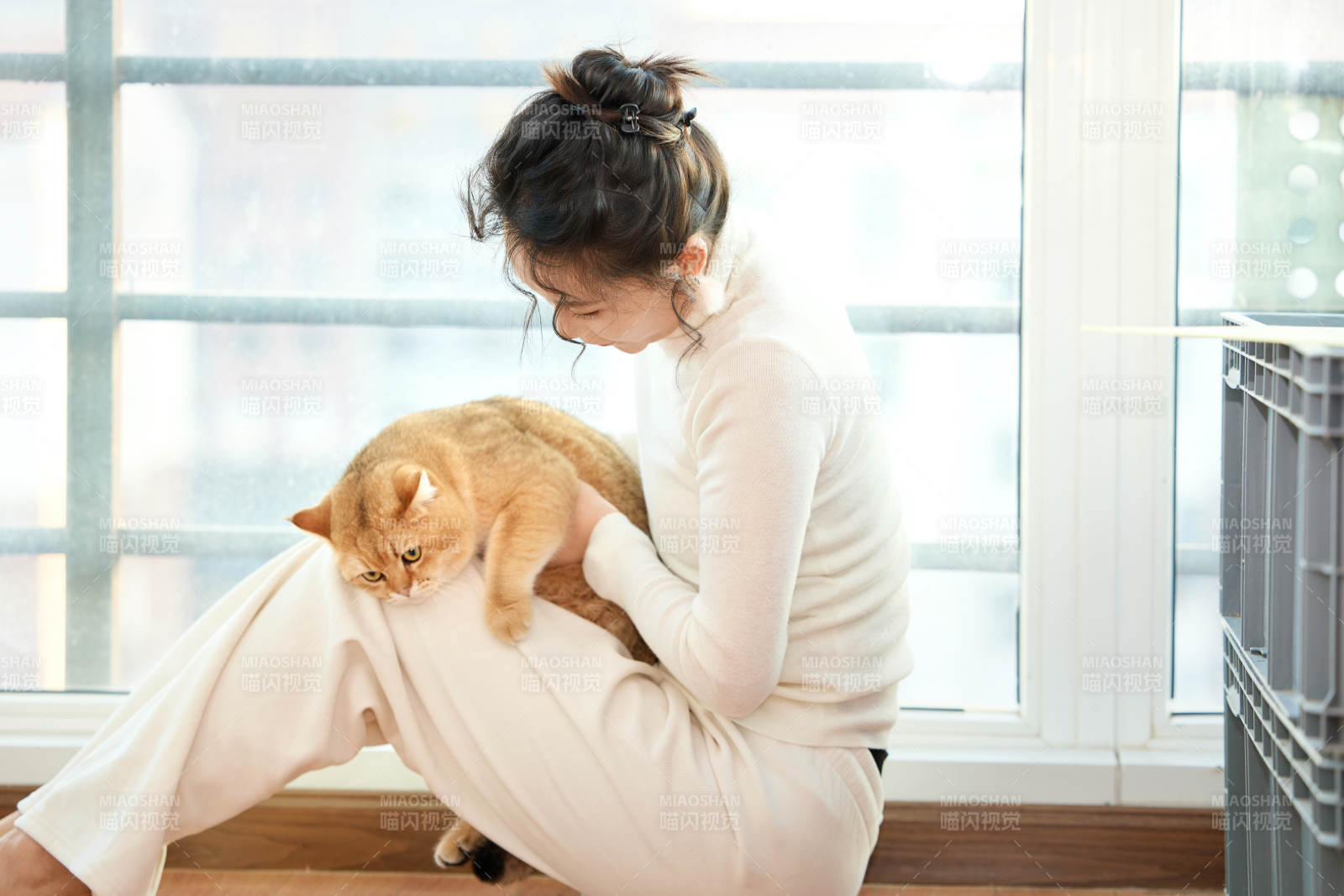 假日在家和猫咪嬉戏的亚洲美女