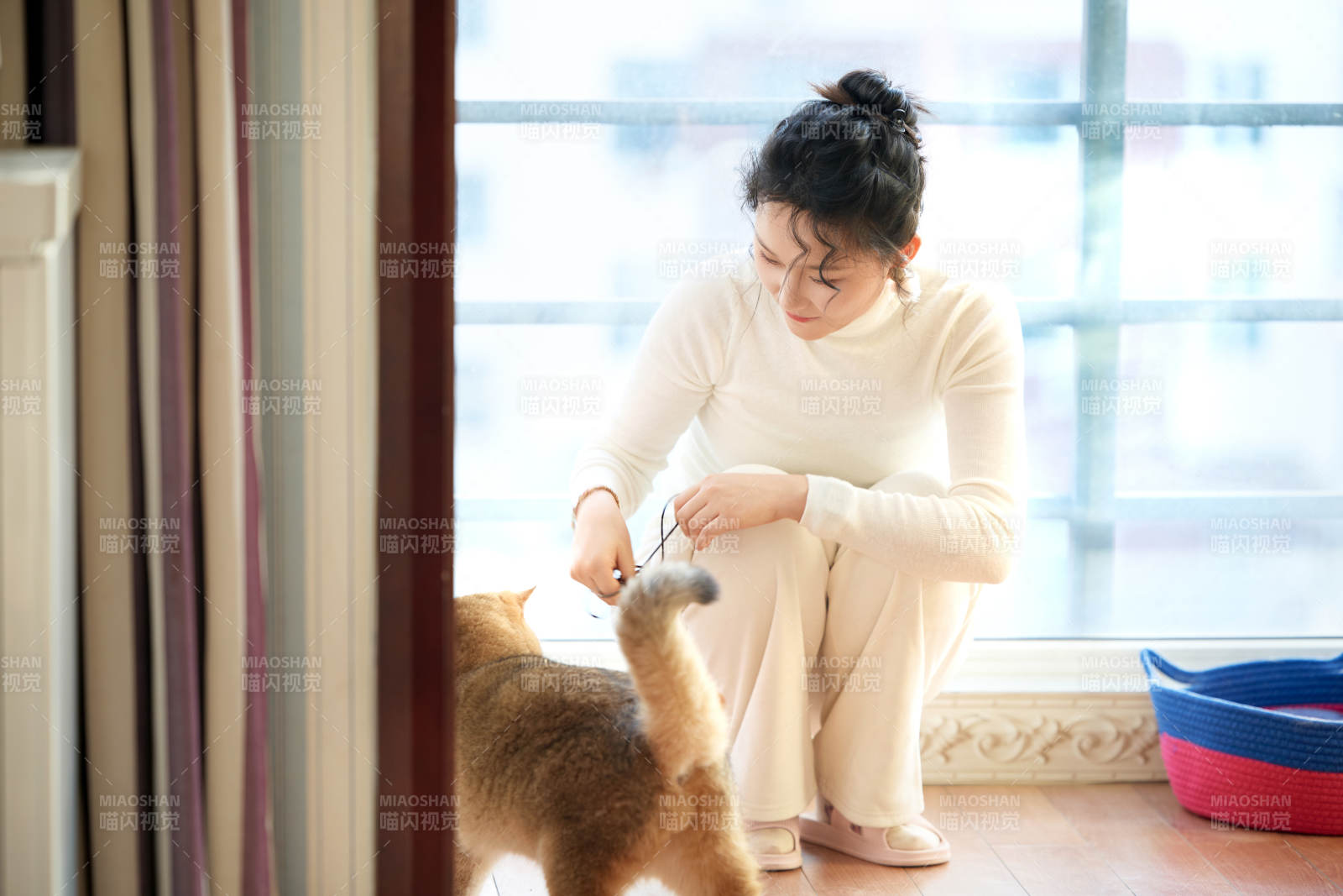 假日在家和貓咪嬉戲的亞洲美女