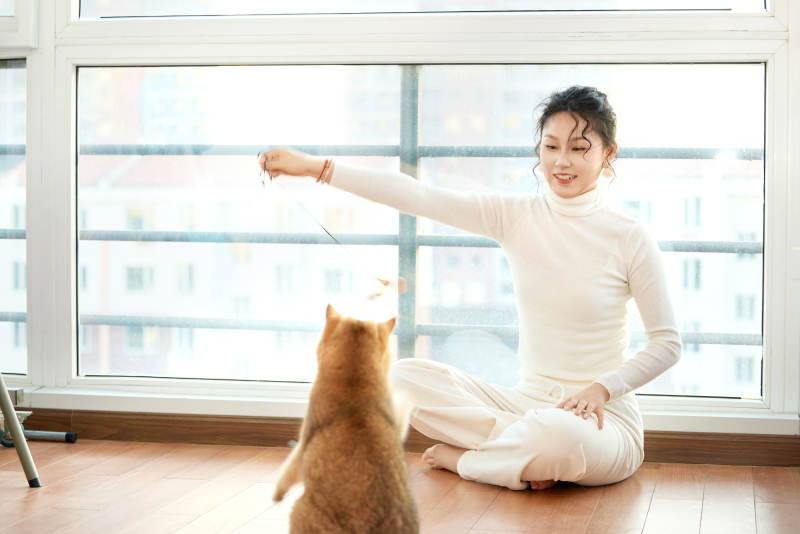 假日在家和猫咪嬉戏的亚洲美女