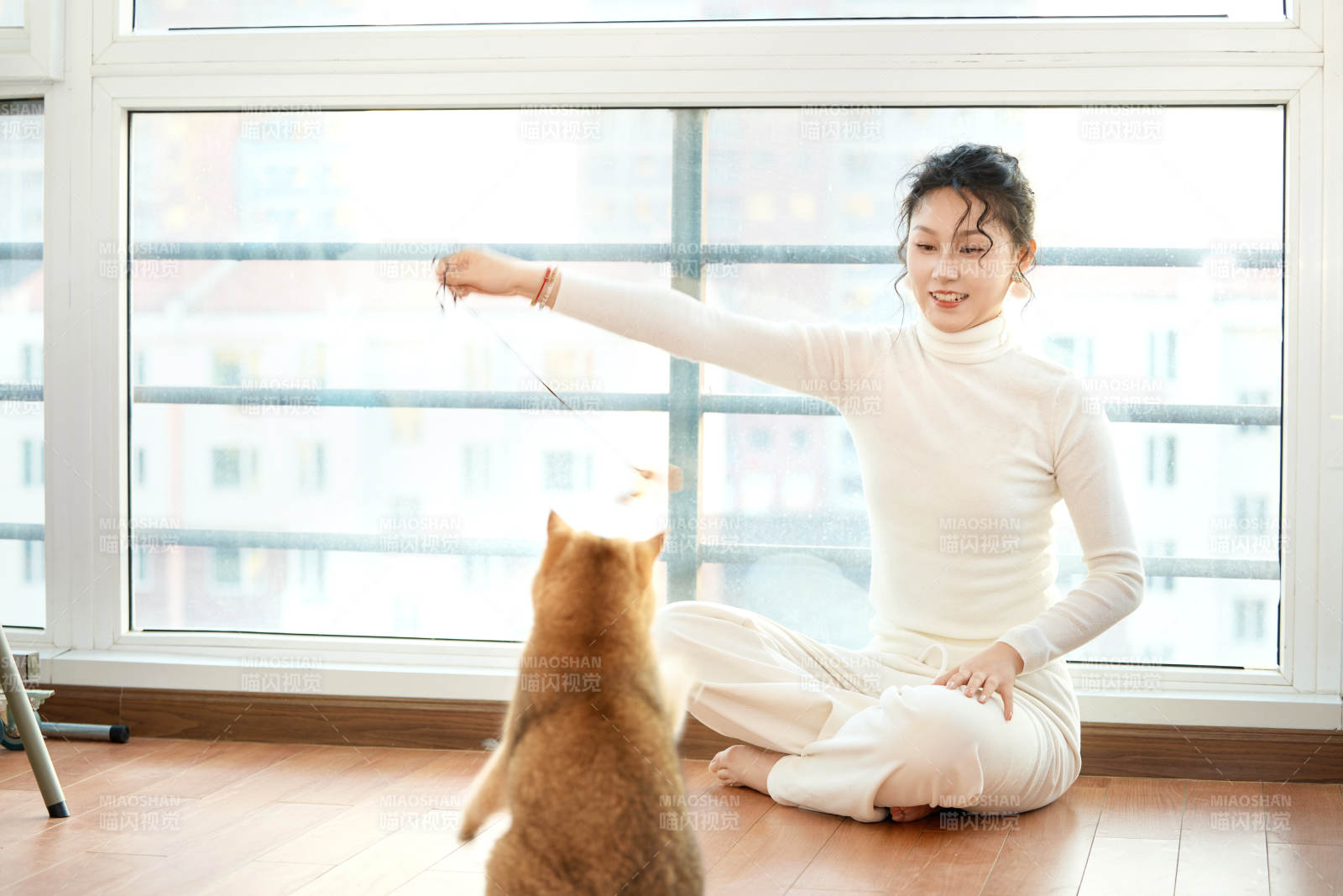 假日在家和貓咪嬉戲的亞洲美女