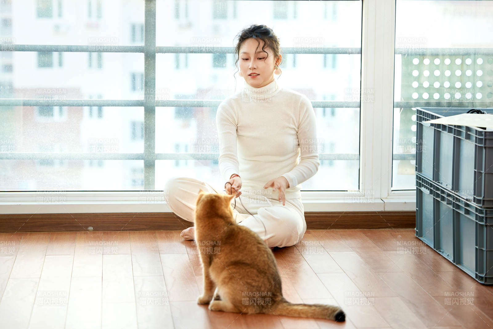 假日在家和猫咪嬉戏的亚洲美女
