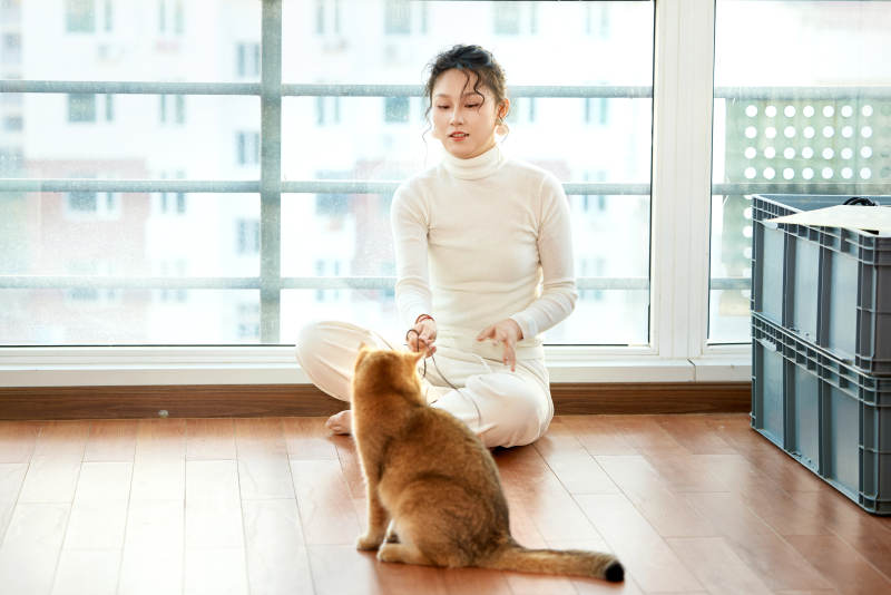 假日在家和猫咪嬉戏的亚洲美女