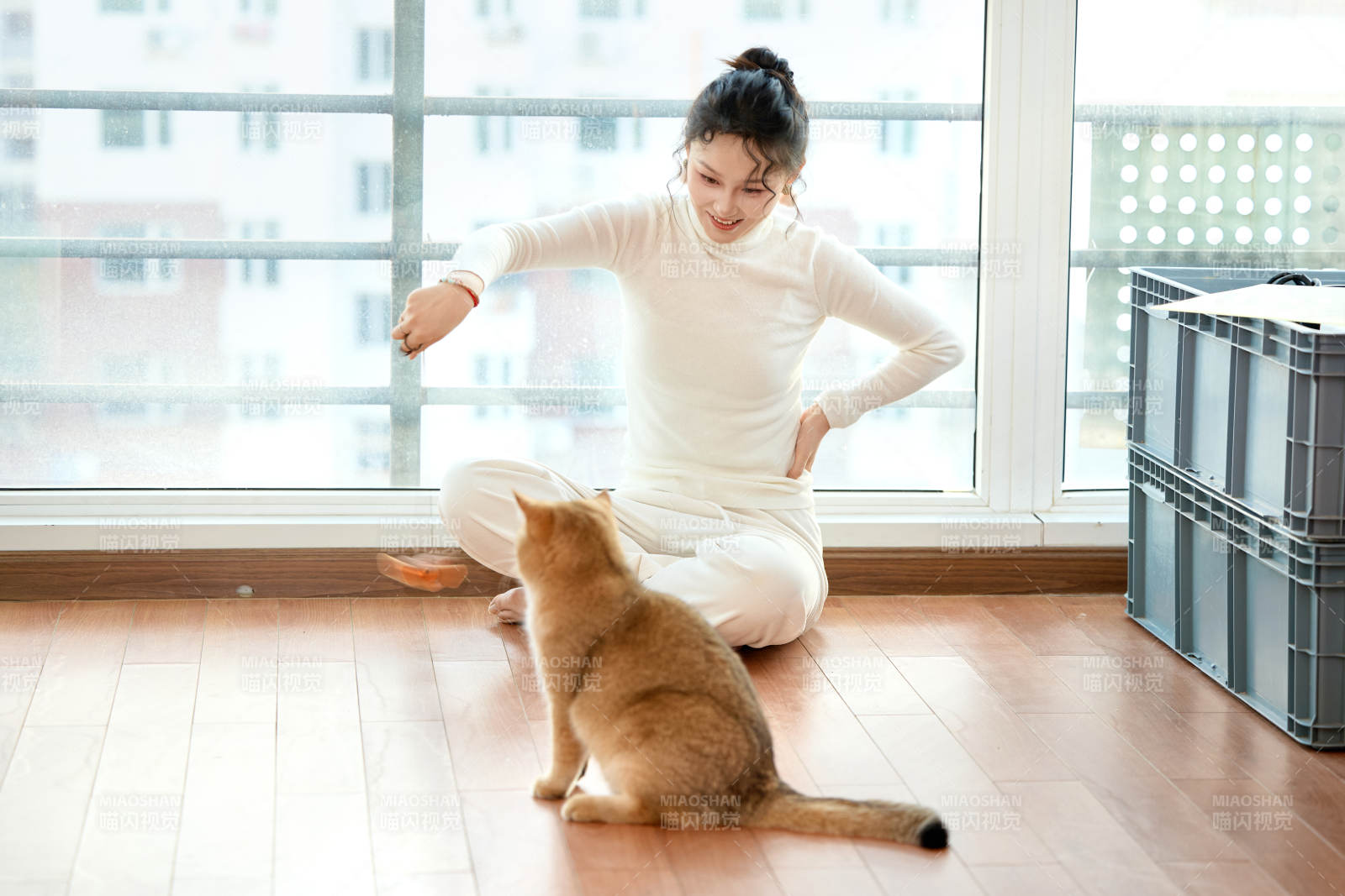 假日在家和猫咪嬉戏的亚洲美女