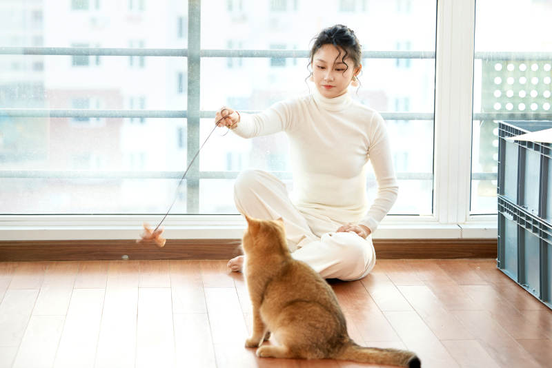 假日在家和猫咪嬉戏的亚洲美女