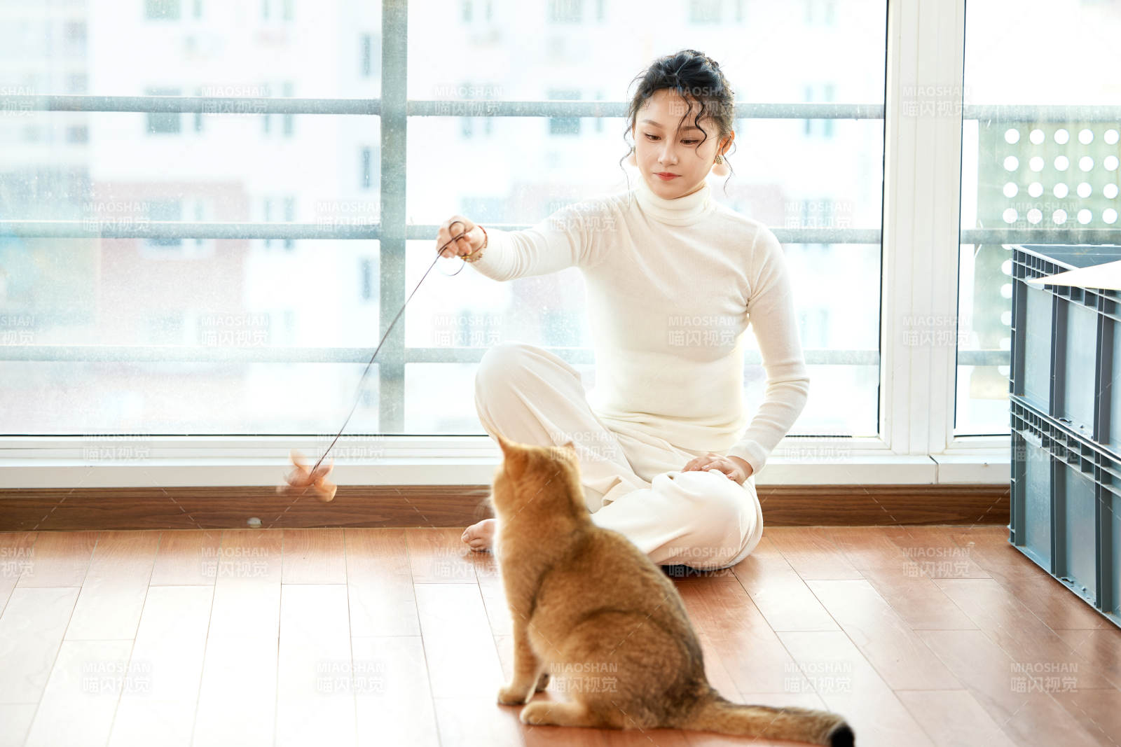 假日在家和貓咪嬉戲的亞洲美女