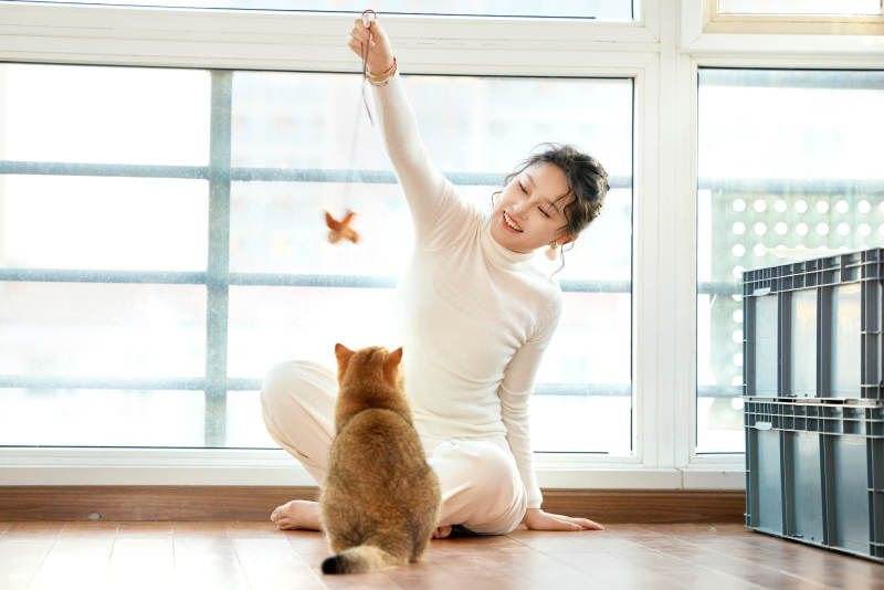 假日在家和猫咪嬉戏的亚洲美女