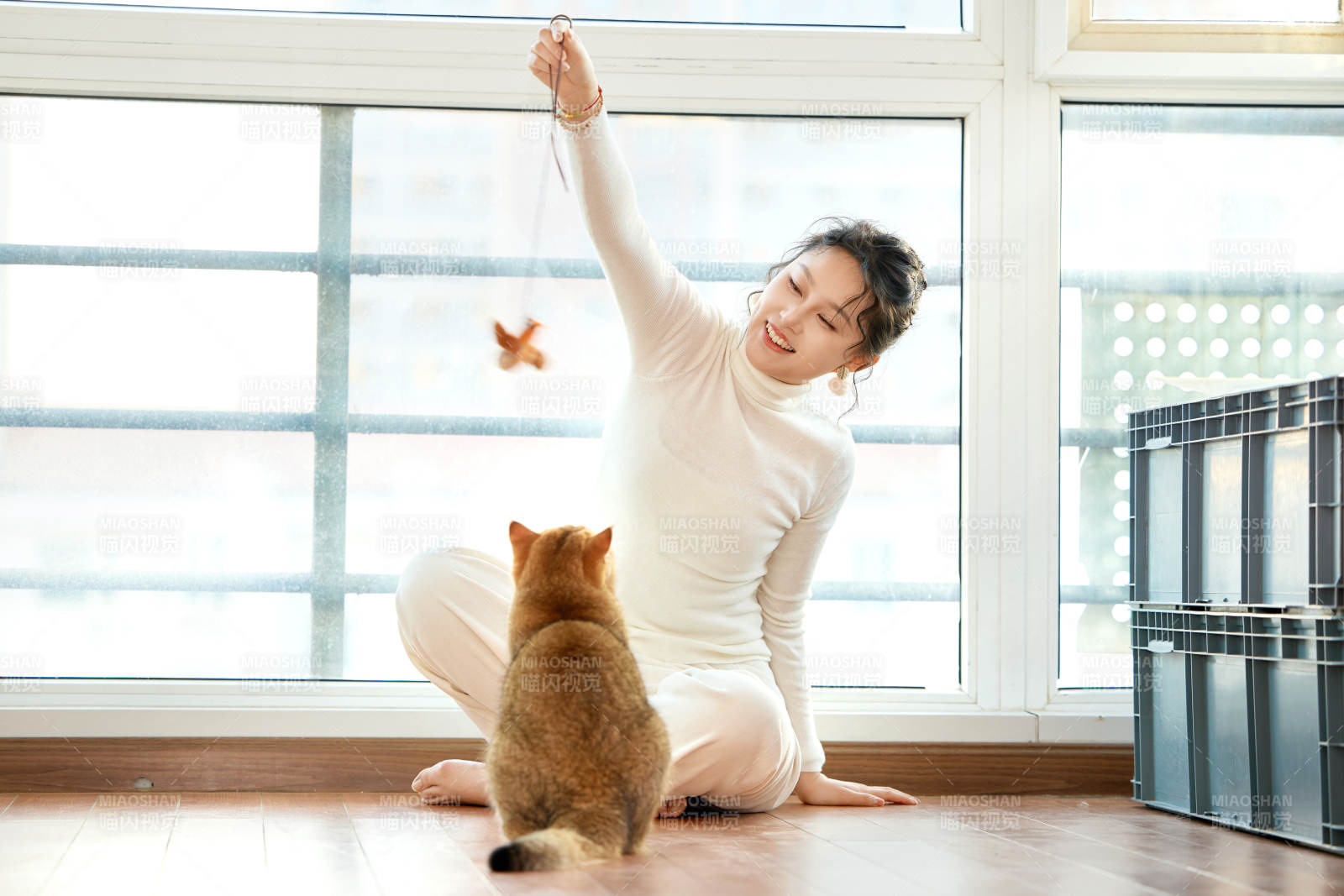 假日在家和貓咪嬉戲的亞洲美女