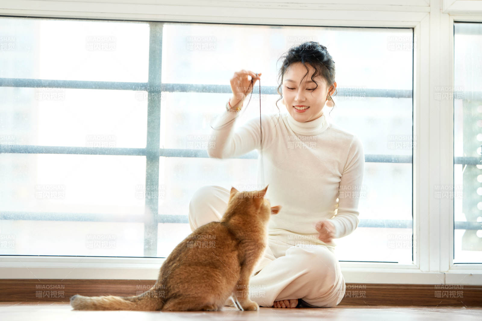 假日在家和貓咪嬉戲的亞洲美女