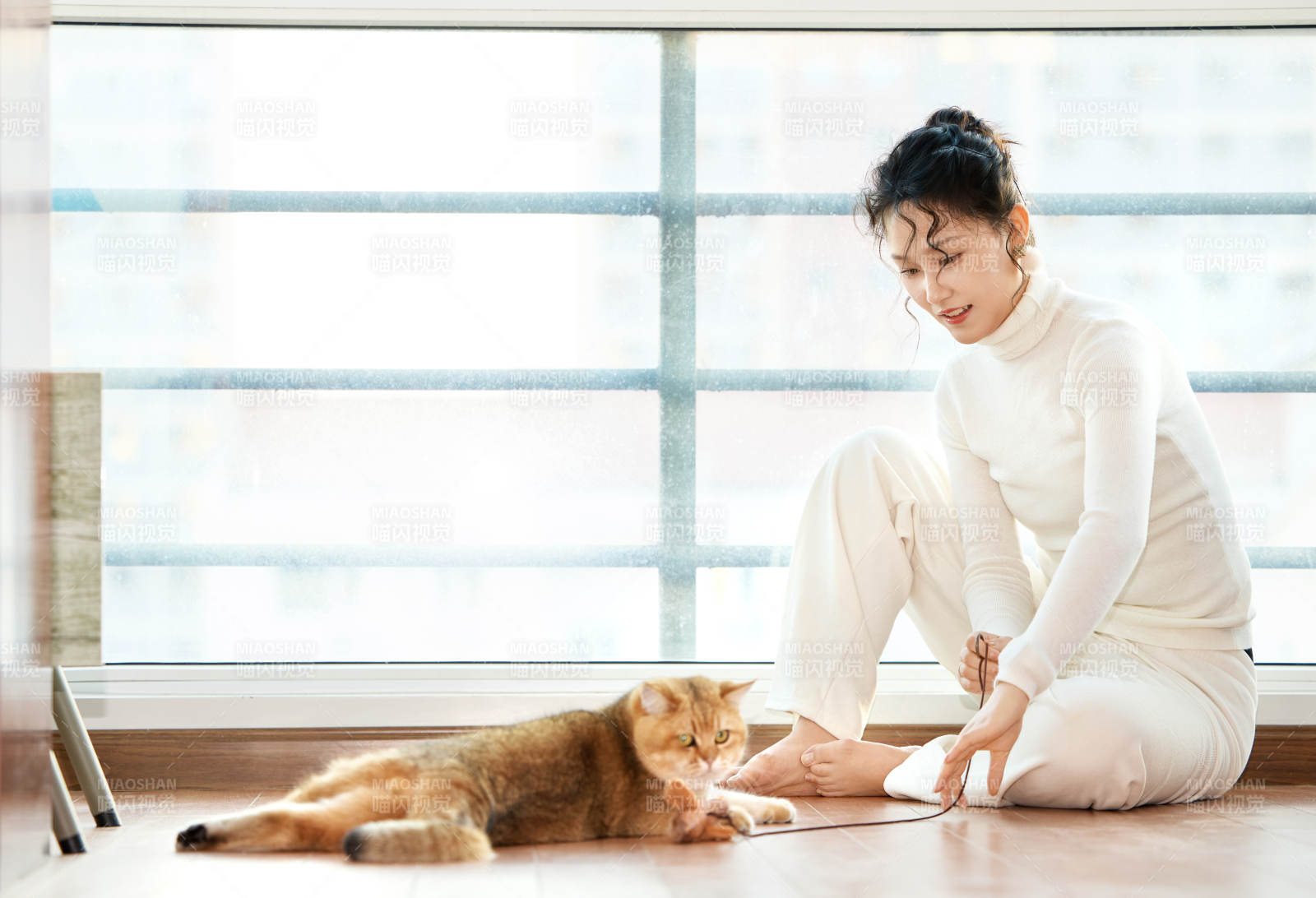 假日在家和貓咪嬉戲的亞洲美女