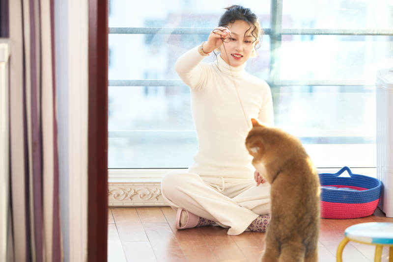 假日在家和猫咪嬉戏的亚洲美女