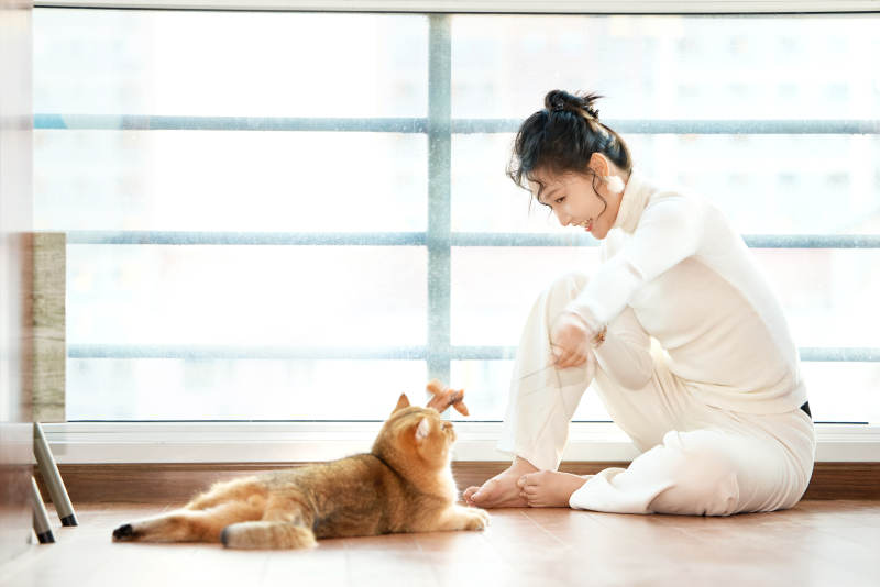 假日在家和猫咪嬉戏的亚洲美女