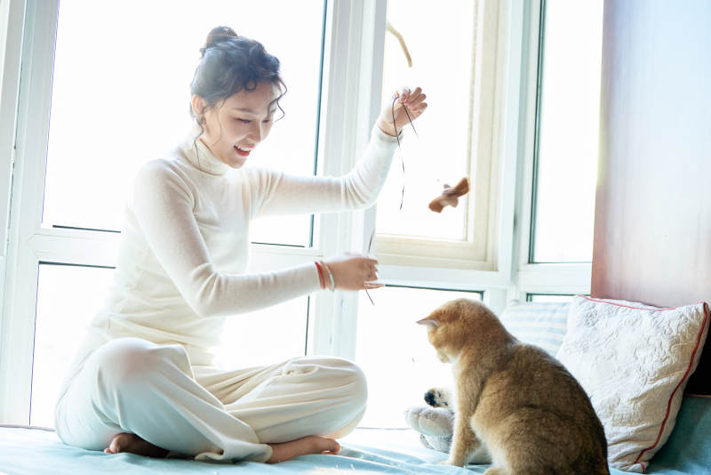 假日在家和猫咪嬉戏的亚洲美女