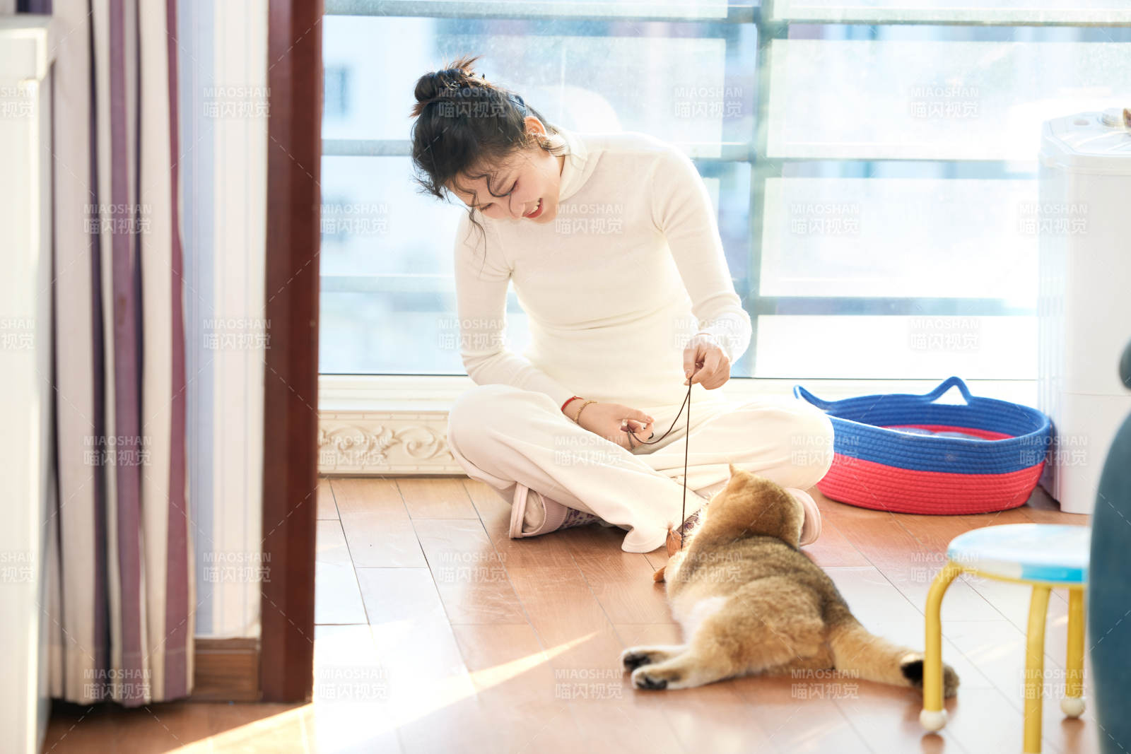 假日在家和貓咪嬉戲的亞洲美女
