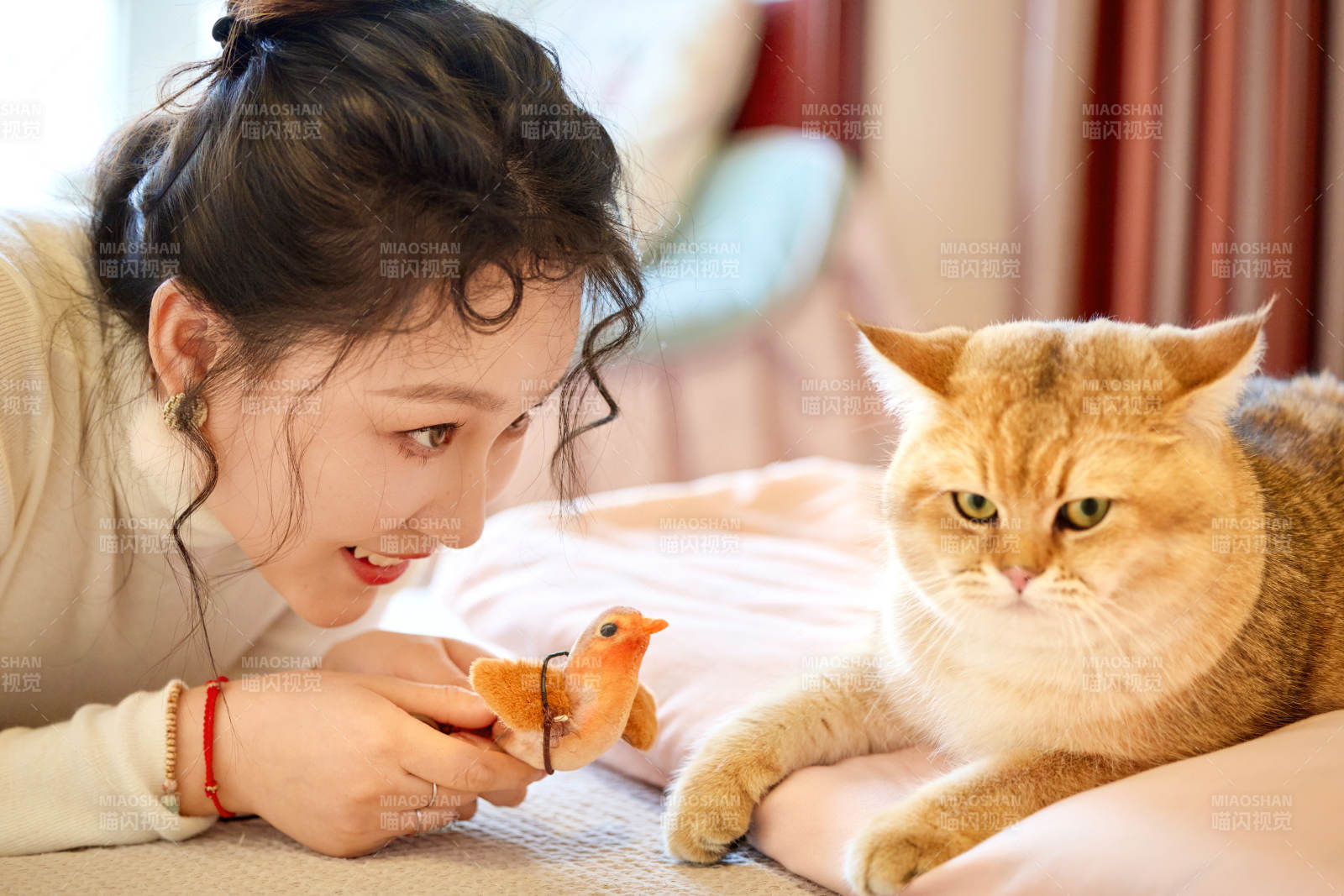 假日在家和貓咪嬉戲的亞洲美女