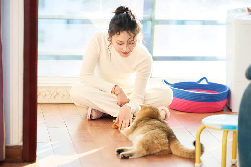 假日在家和猫咪嬉戏的亚洲美女