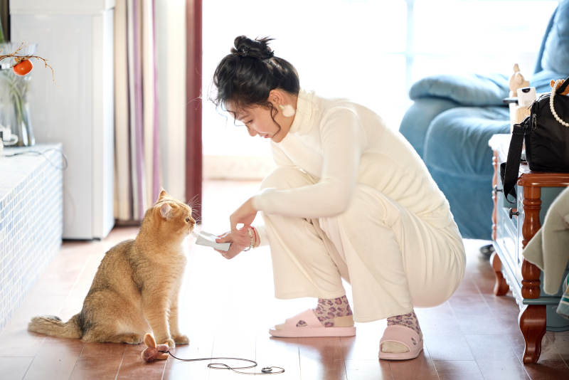 假日在家和猫咪嬉戏的亚洲美女