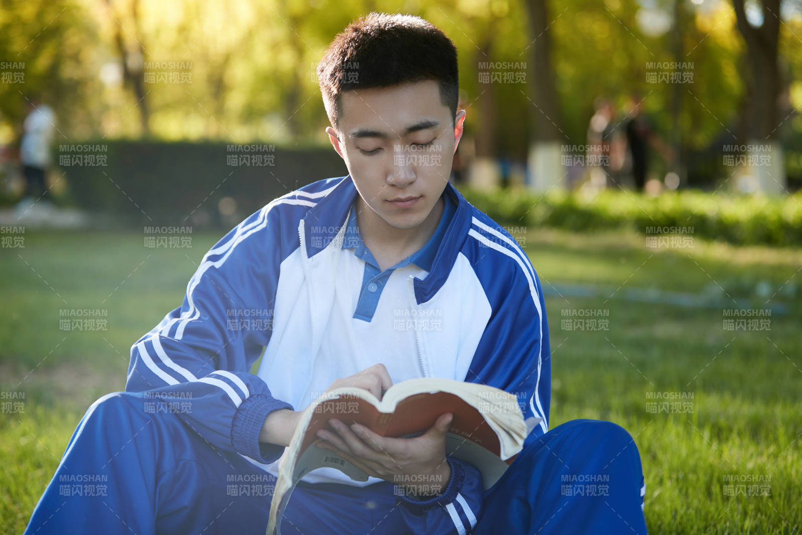 在户外草坪看书学习的女生