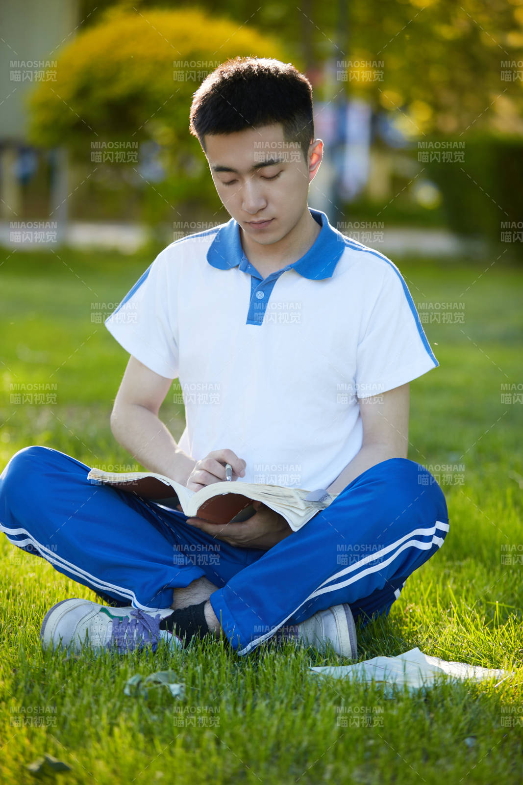 校园户外草坪上备战高考的高中生图片