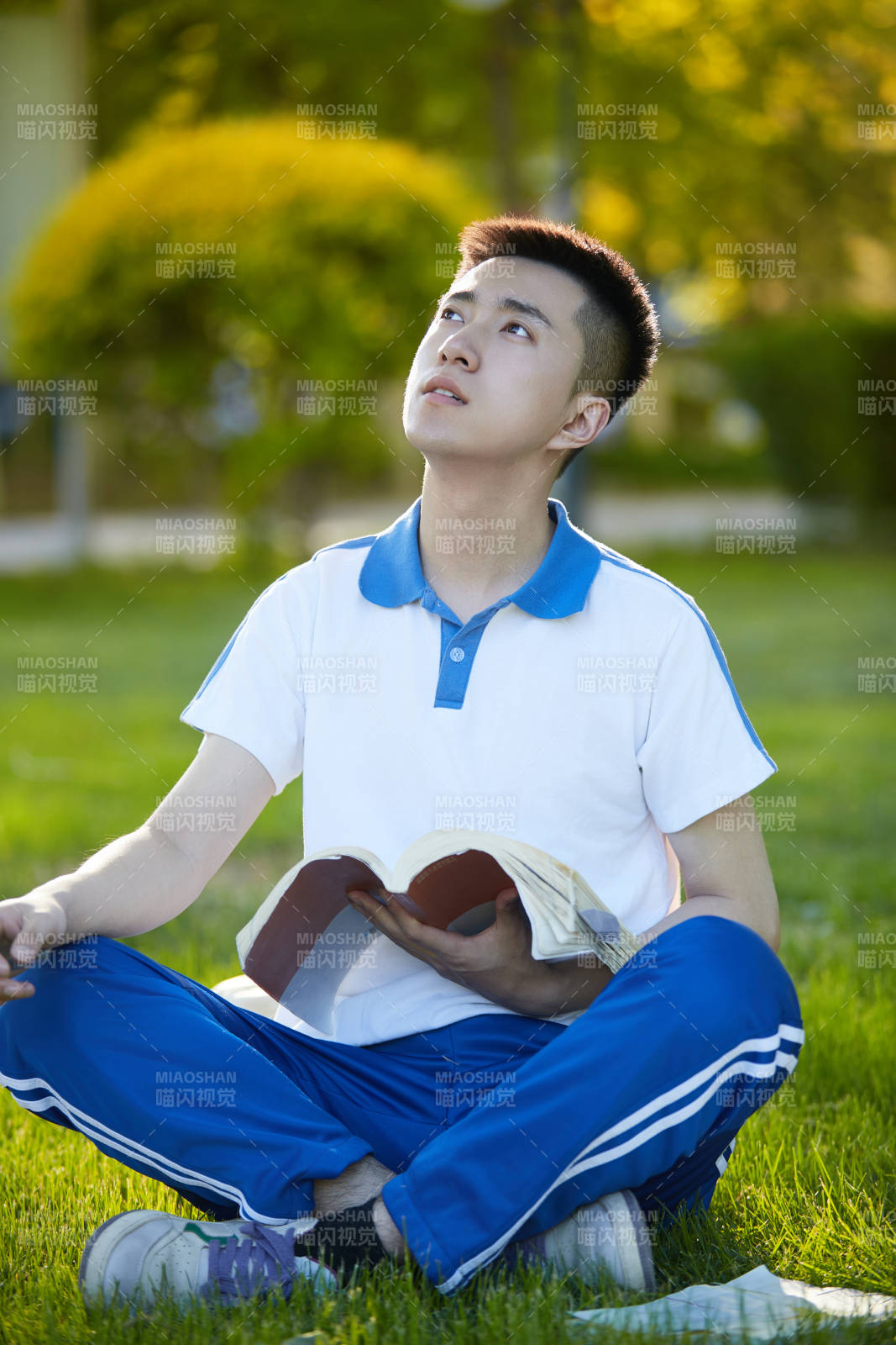 校园户外草坪上备战高考的高中生