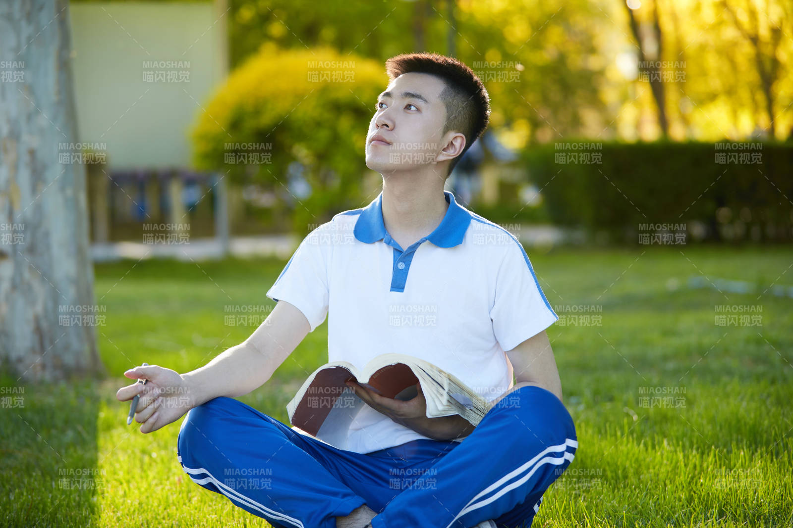 校园户外草坪上备战高考的高中生图片