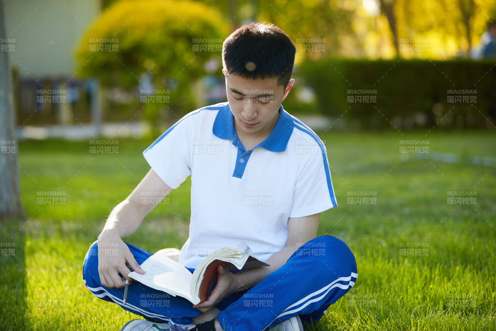 校园户外草坪上备战高考的高中生图片