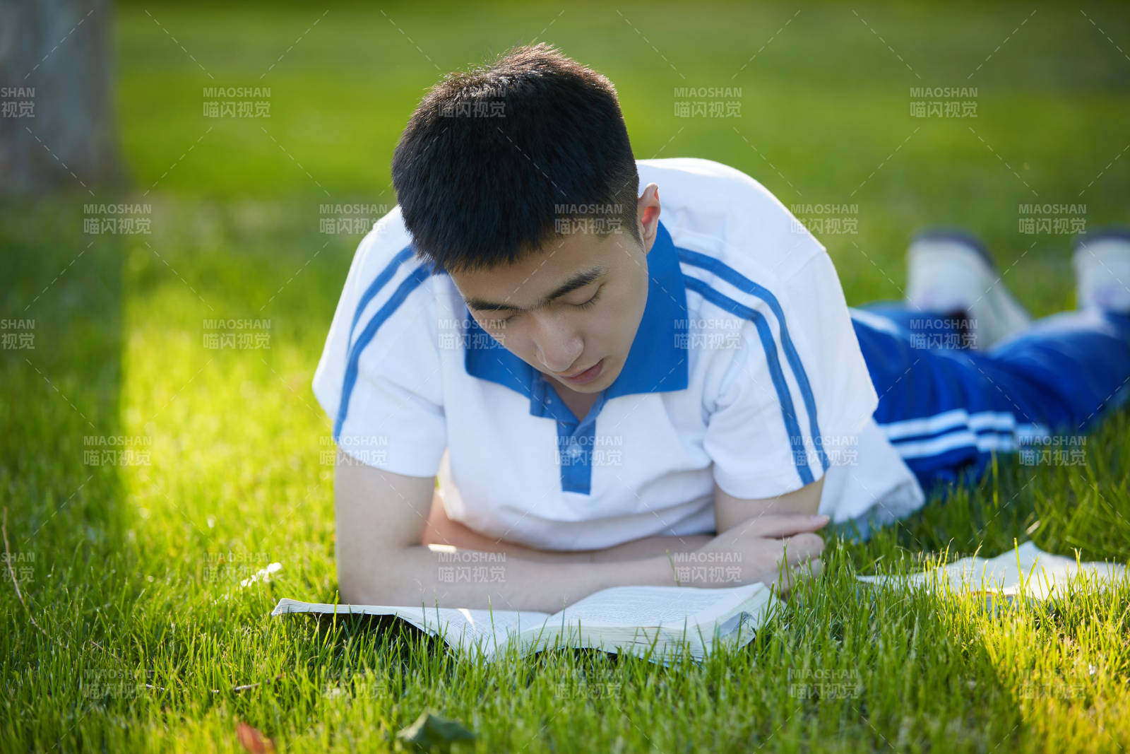 校园户外草坪上备战高考的高中生图片