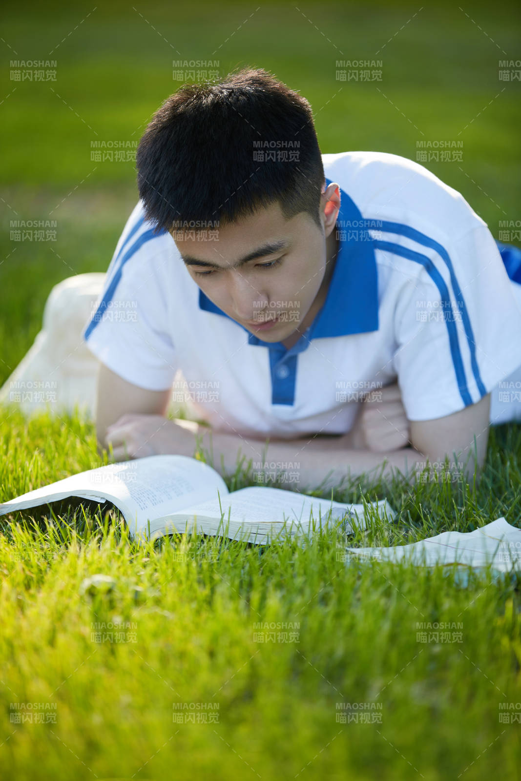校园户外草坪上备战高考的高中生图片