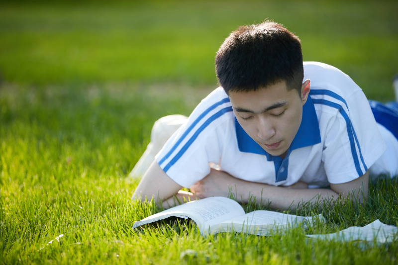 校园户外草坪上备战高考的高中生