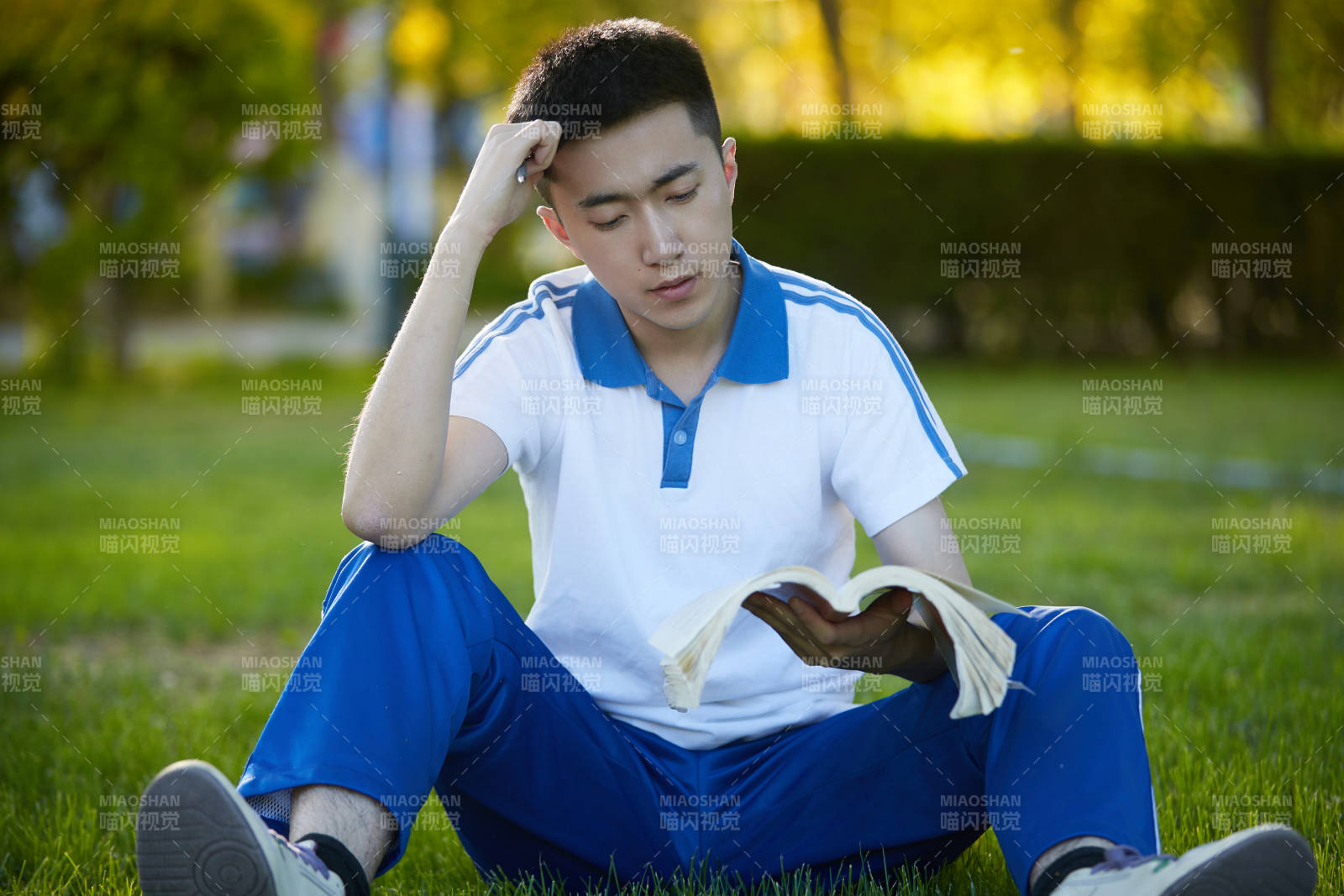 校园户外草坪上备战高考的高中生图片