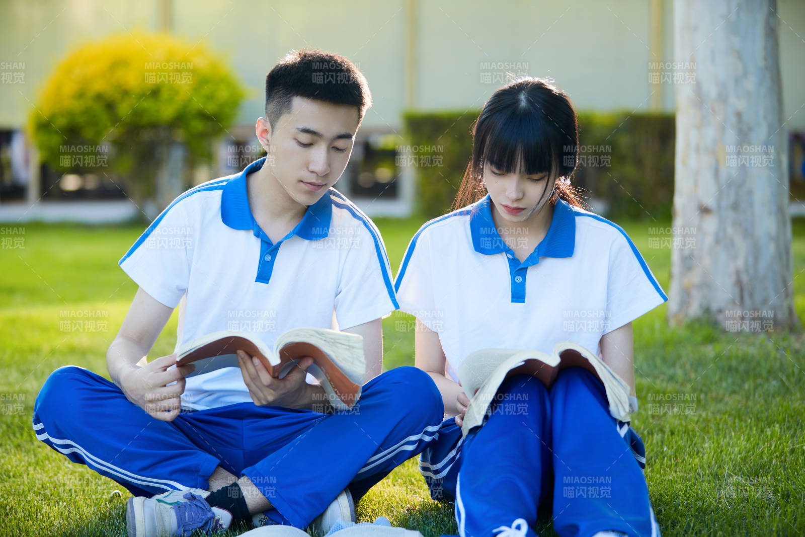 校园户外草坪上备战高考的高中生图片