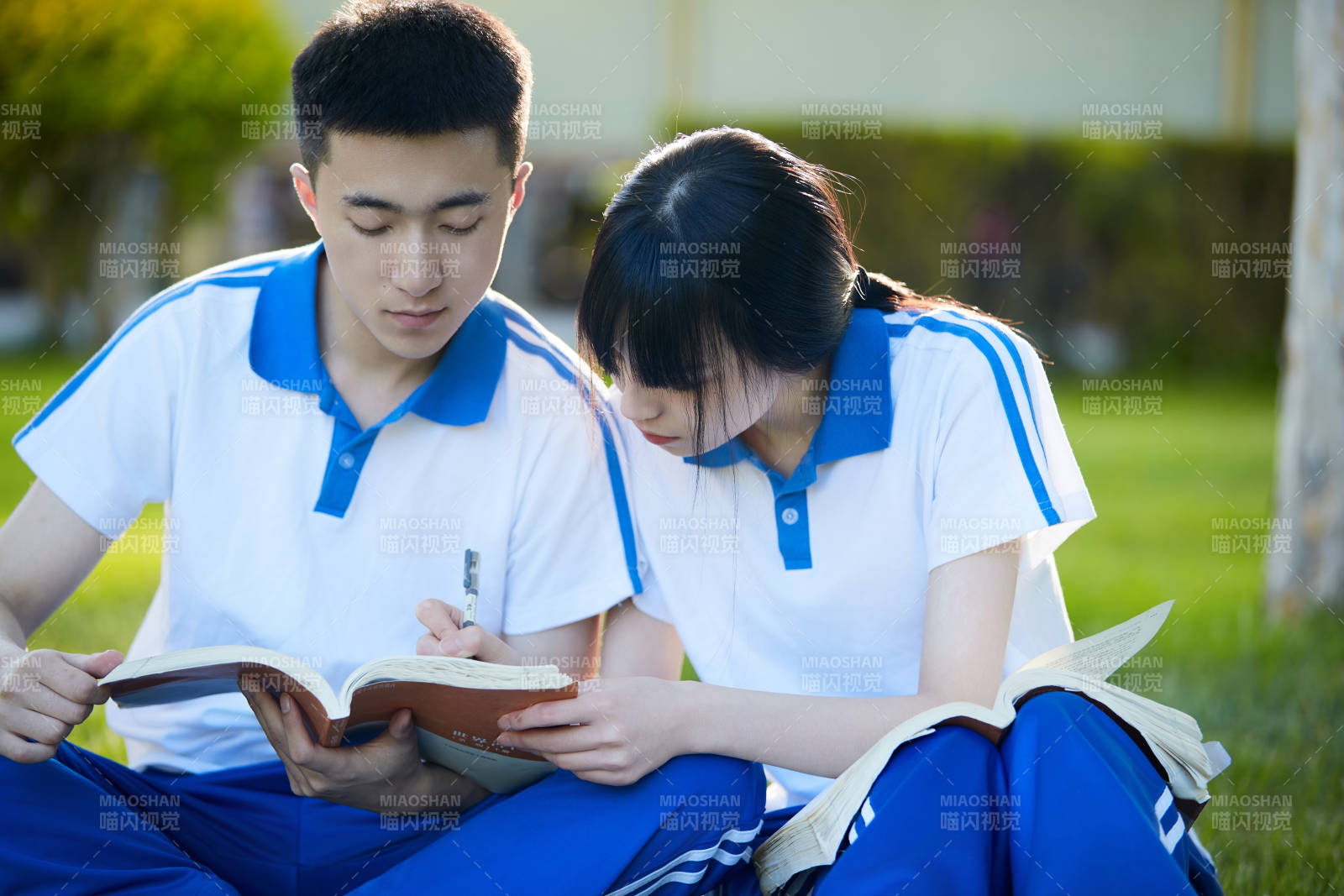 校园户外草坪上备战高考的高中生图片