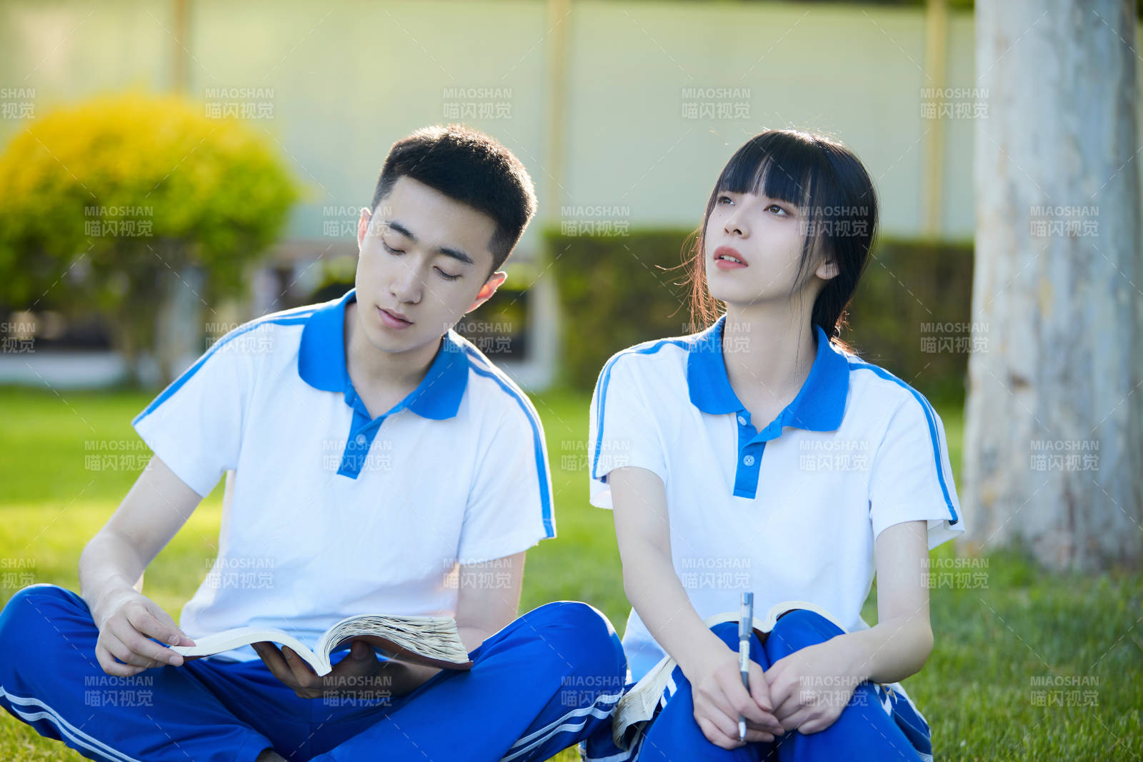 校园户外草坪上备战高考的高中生图片