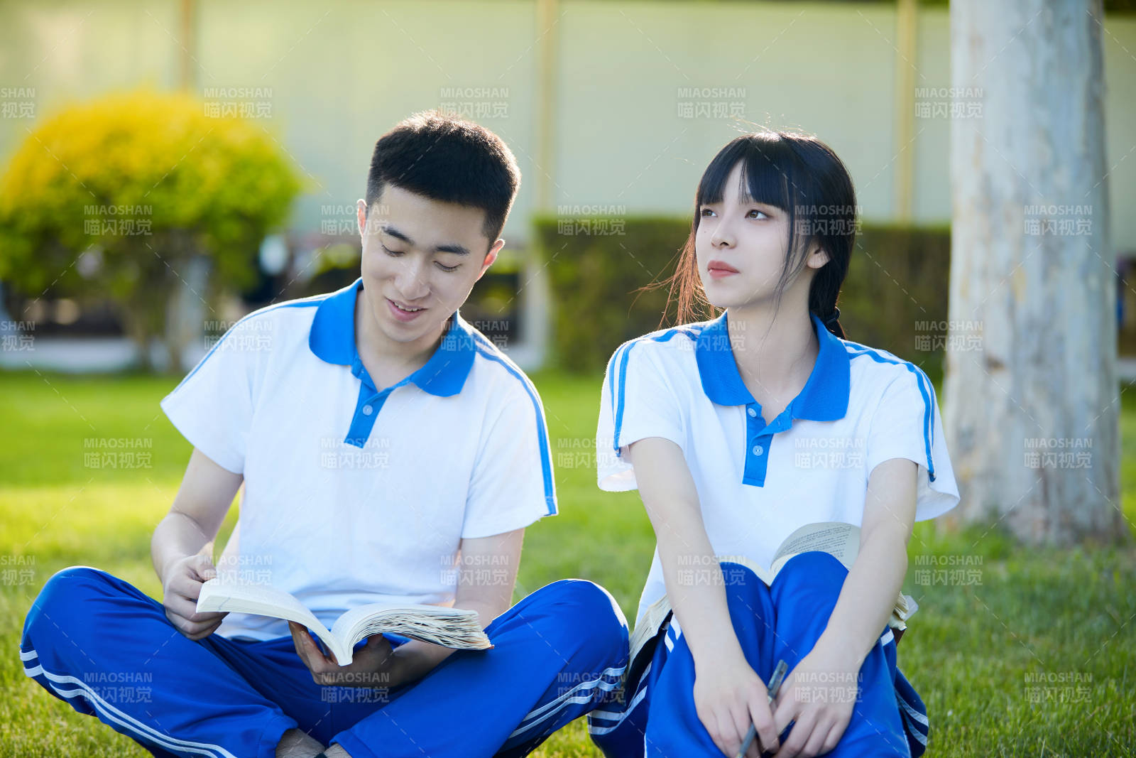 校园户外草坪上备战高考的高中生