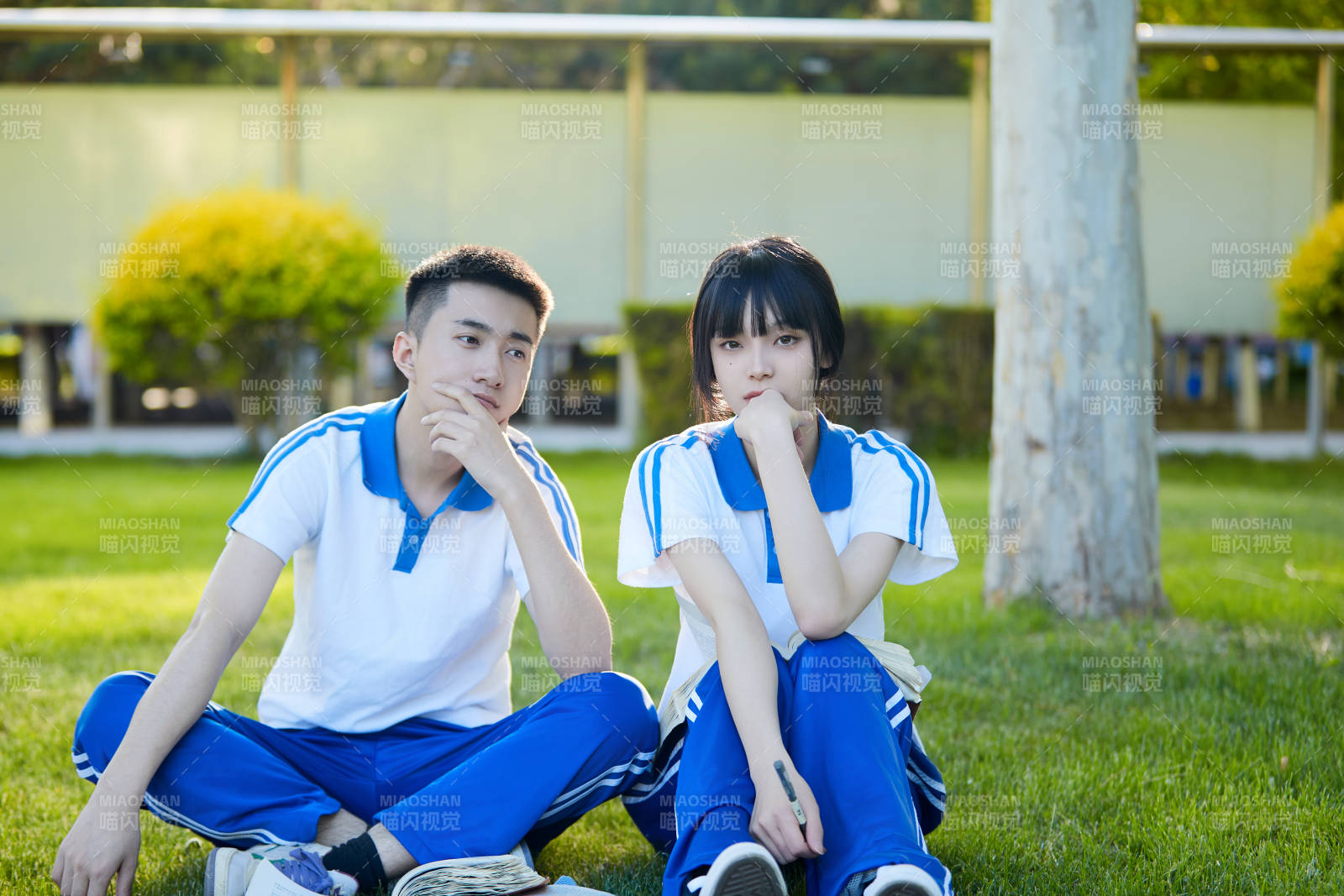 校园户外草坪上备战高考的高中生