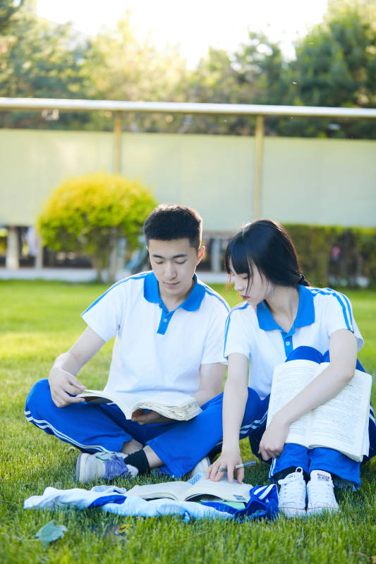 校园户外草坪上备战高考的高中生