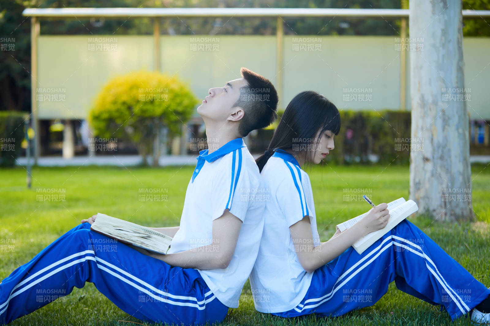 校園戶外草坪上備戰(zhàn)高考的高中生