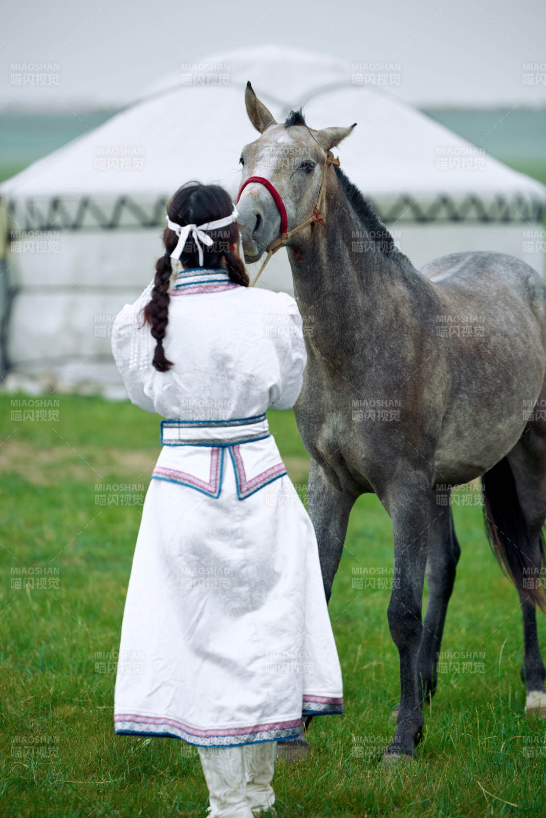 草原上穿着蒙古族服饰牵着马匹的亚洲美女