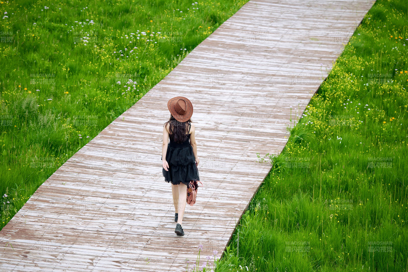 夏季在壩草原草甸拍照打卡的亞洲美女