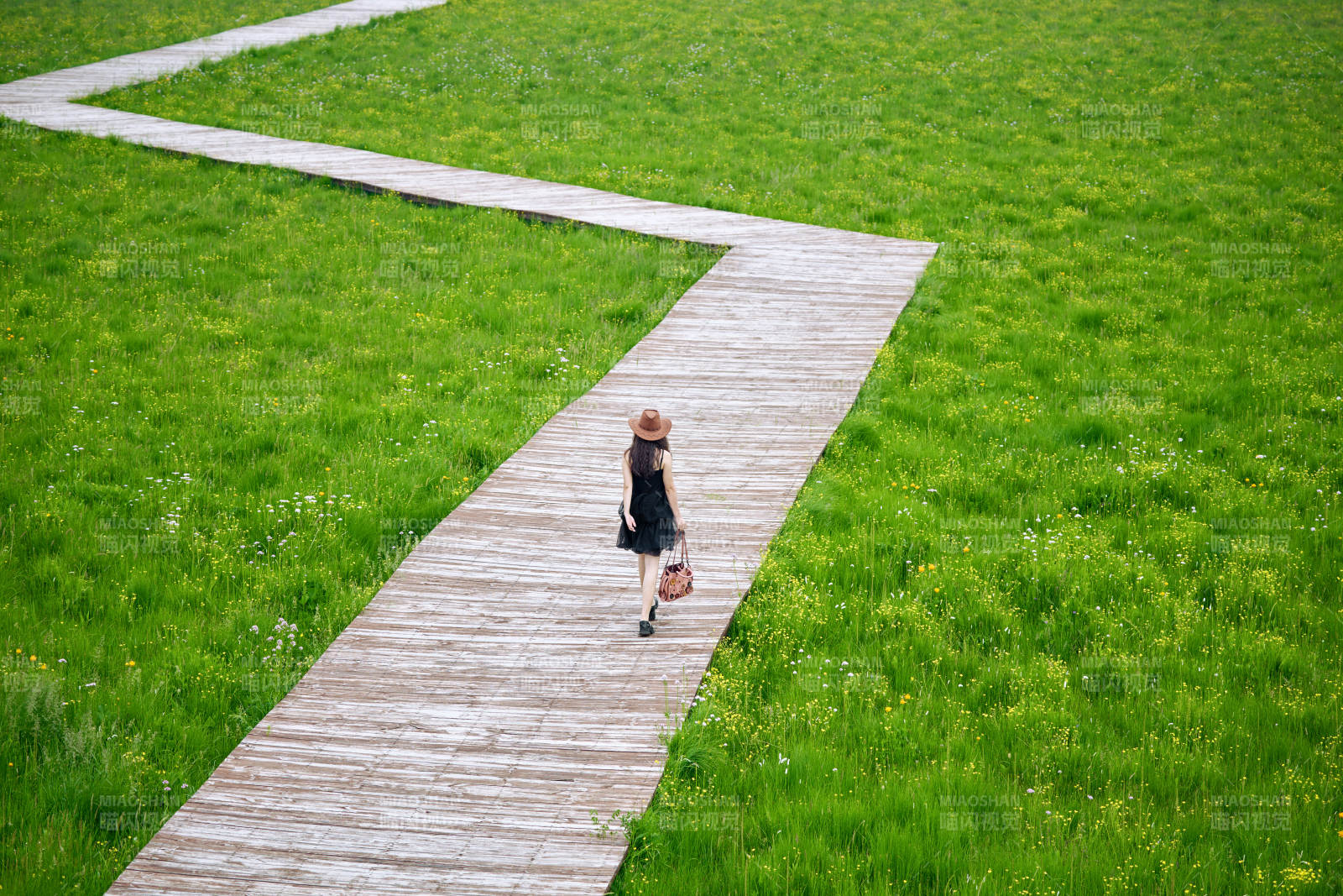 夏季在壩草原草甸拍照打卡的亞洲美女