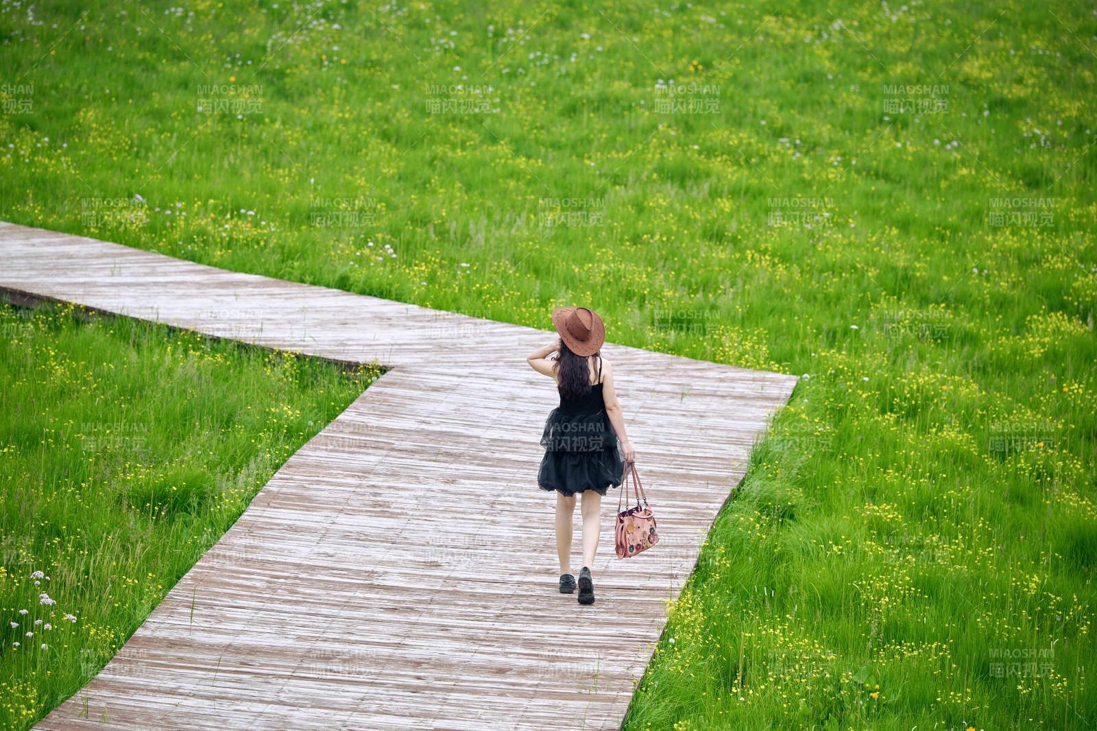 夏季在壩草原草甸拍照打卡的亞洲美女