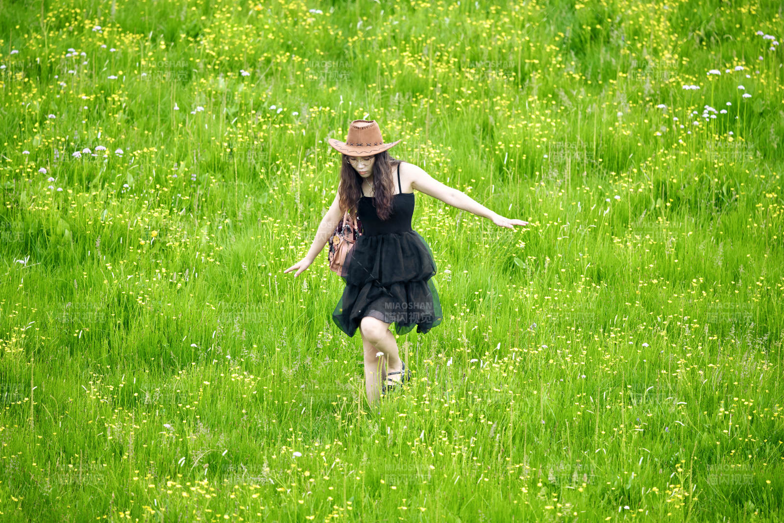 夏季在壩草原草甸拍照打卡的亞洲美女