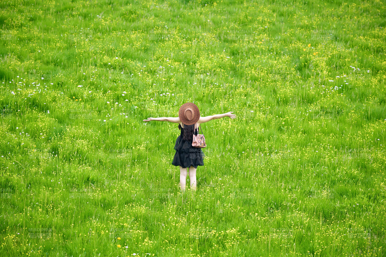 夏季在壩草原草甸拍照打卡的亞洲美女