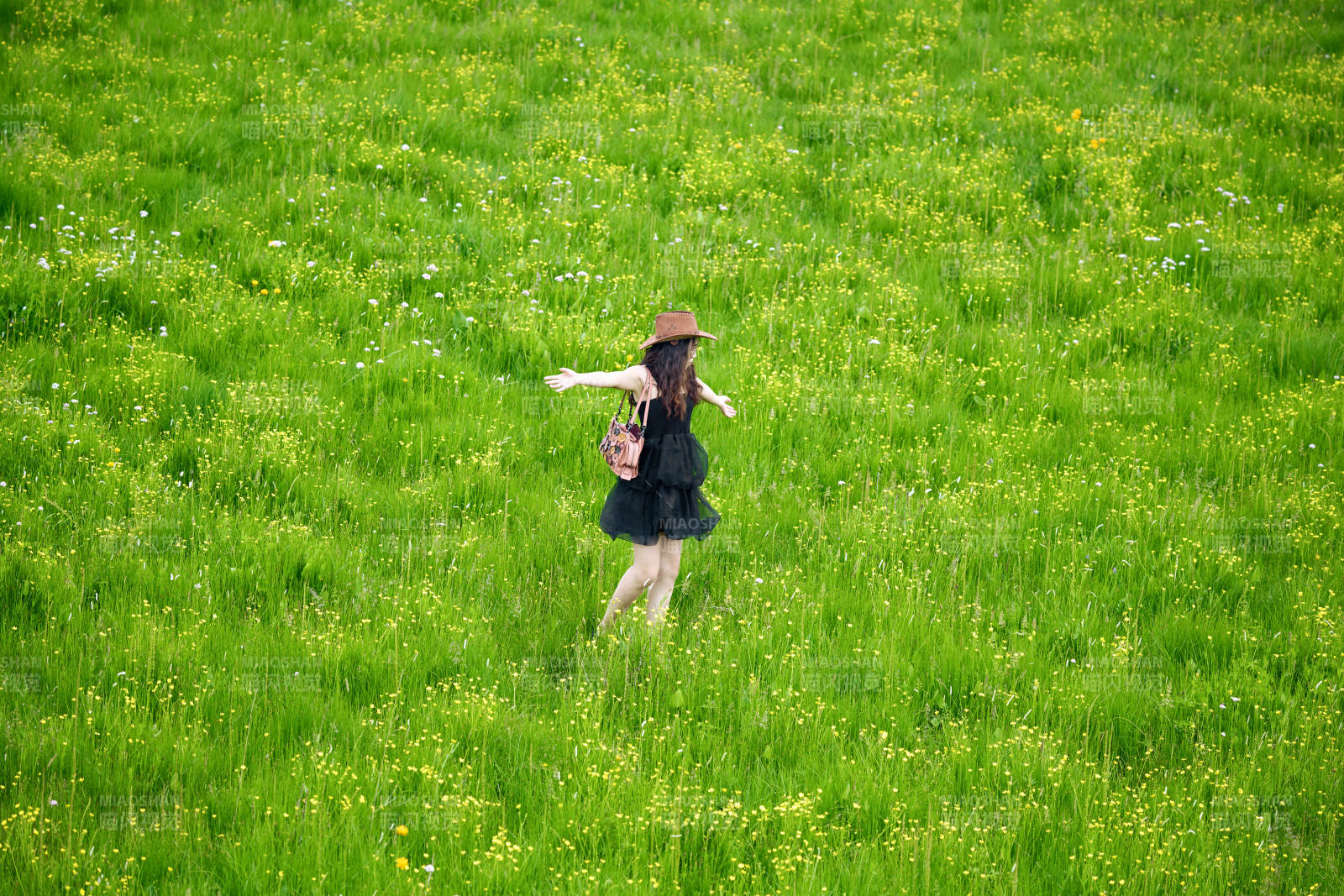 夏季在壩草原草甸拍照打卡的亞洲美女