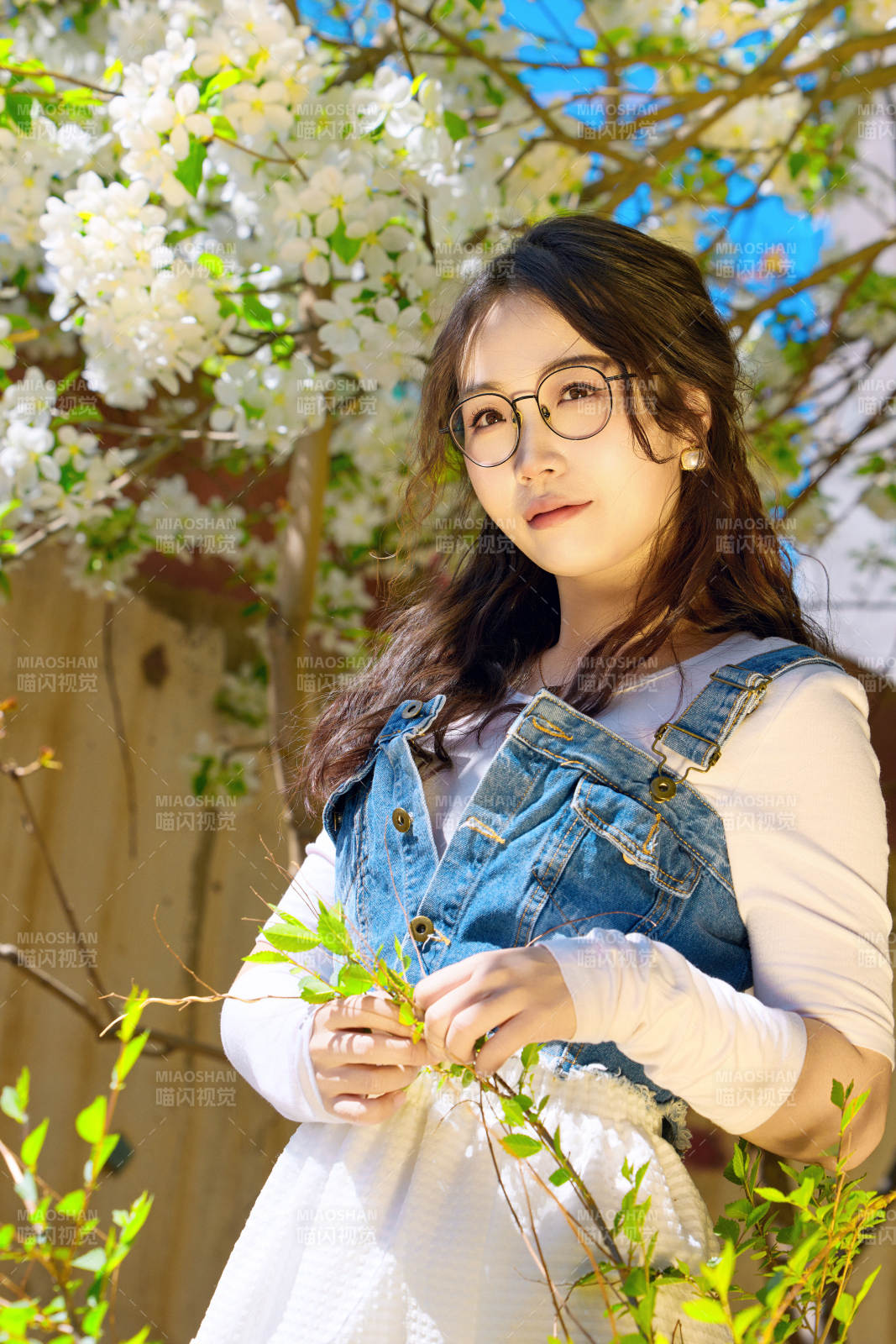春天在梨花樹下拍照的東方美女
