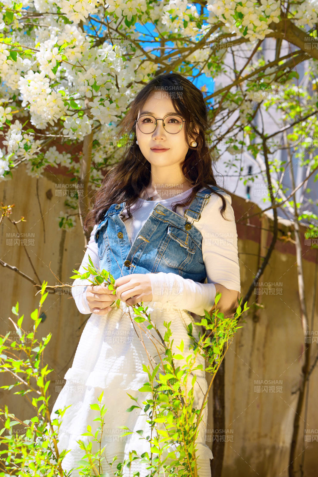 春天在梨花樹下拍照的東方美女