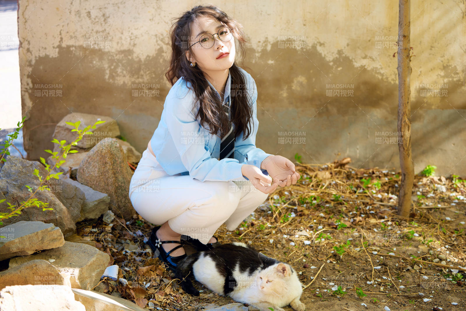 在小區里投喂流浪貓咪的東方女性