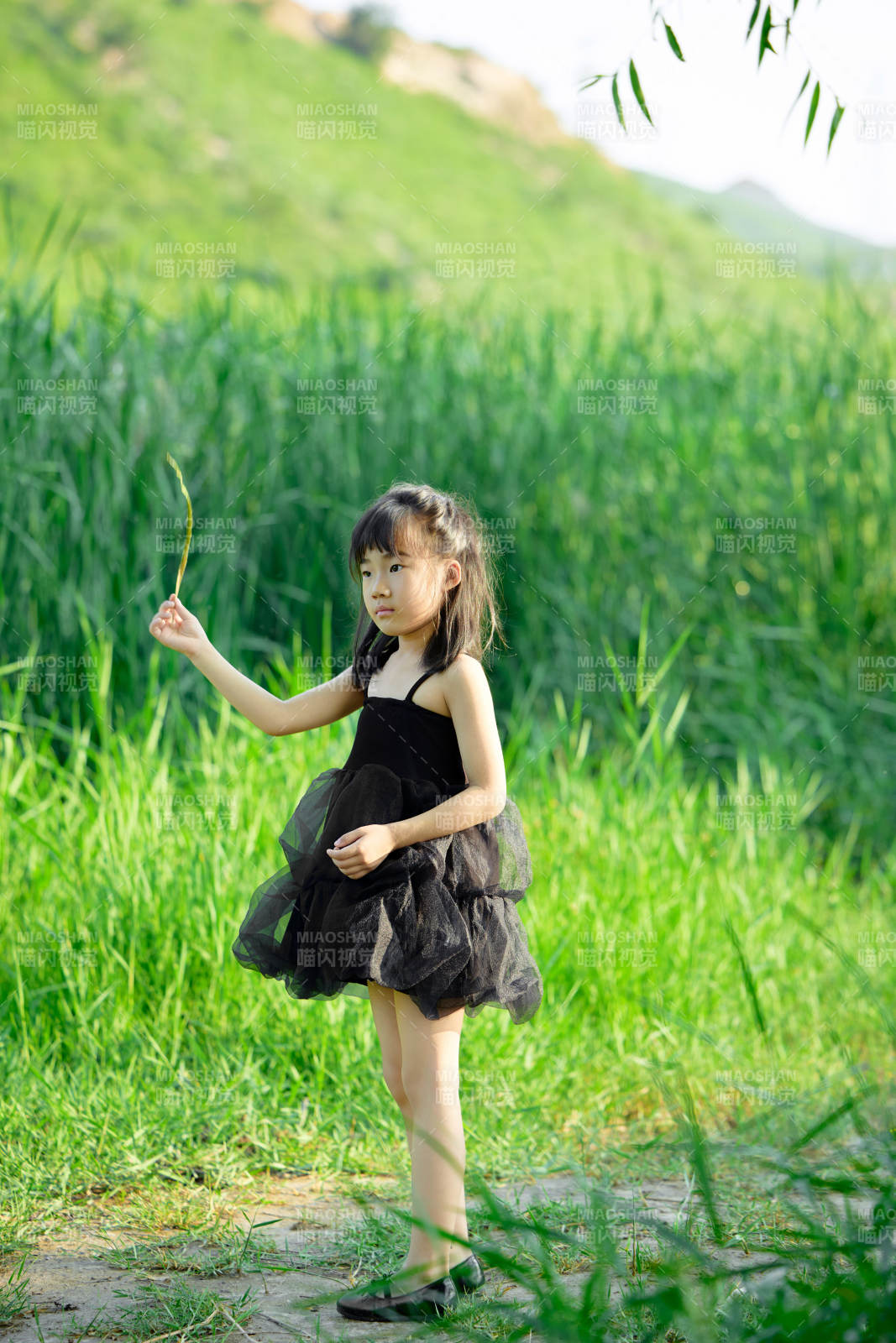 夏季在戶外玩耍游玩的可愛亞洲女童