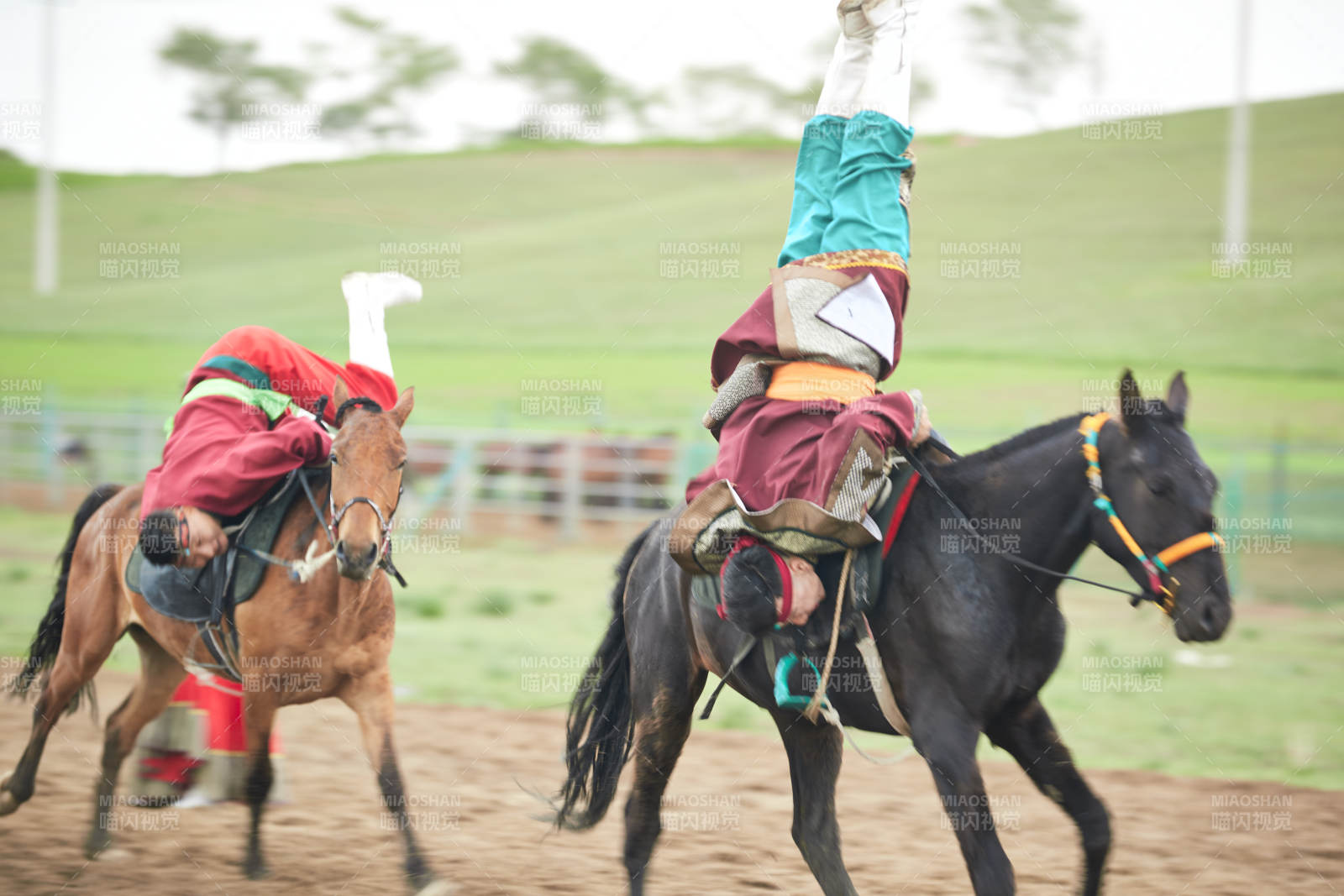 河北省沽源縣庫倫淖爾景區的蒙古馬術表演